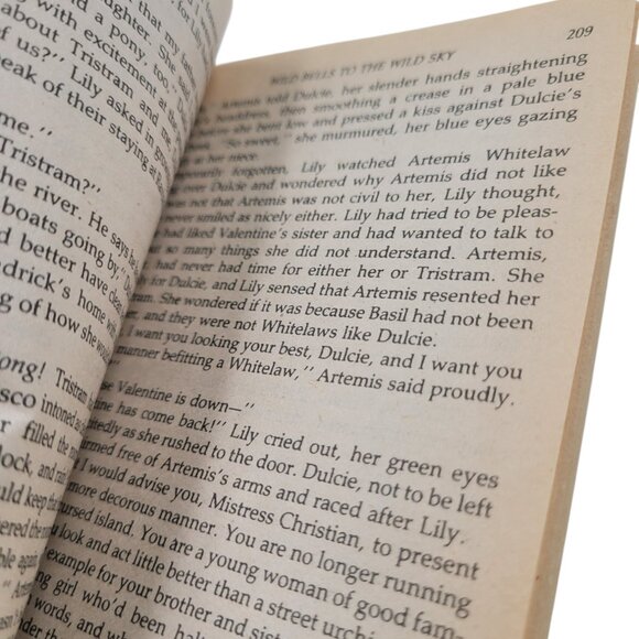 Wind Bells to the Wild Sky by Laurie McBain – 1988 Vintage Paperback - Picture 9 of 13